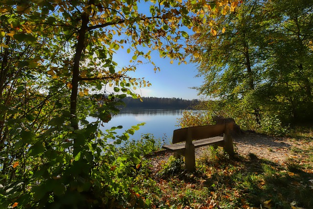 拉的表现将 拉的表现将