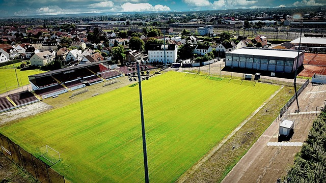 其实并不是 其实并不是