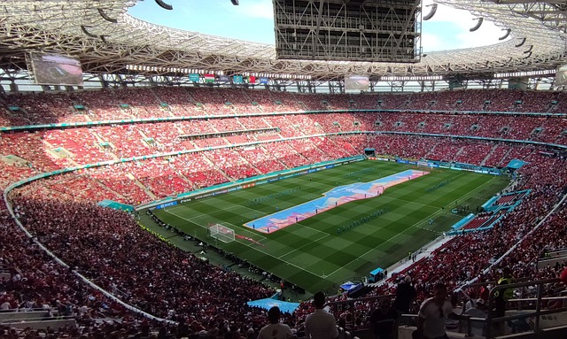 保护赛事公 保护赛事公