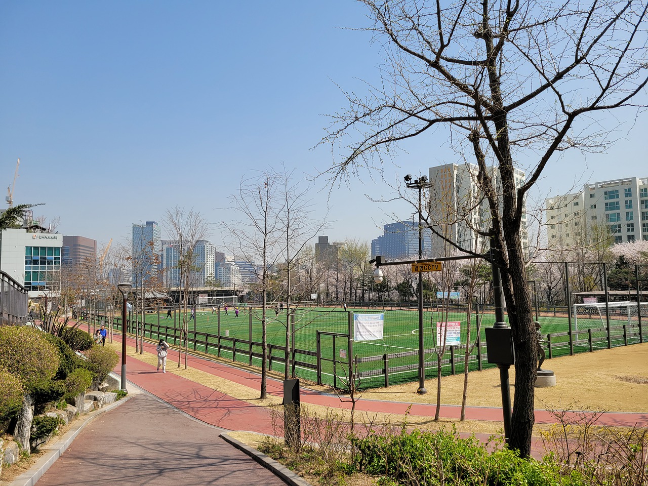 而中國籃球 而中國籃球